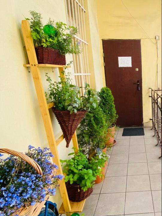 Miodowa Kazimierz Apartment クラクフ エクステリア 写真